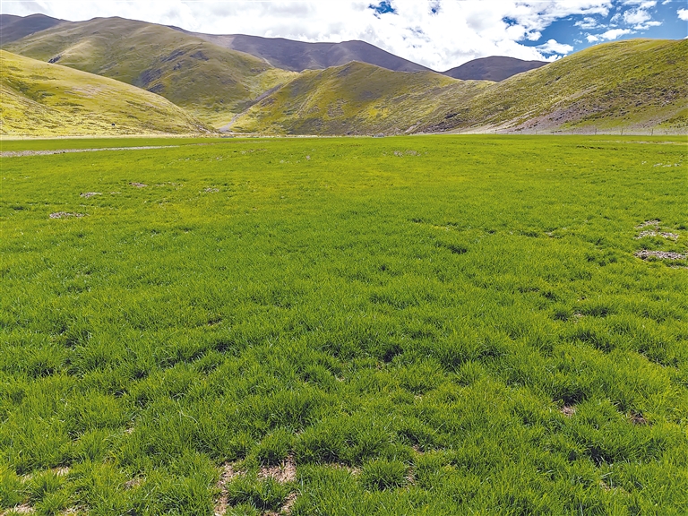 日韩精品无码一区二区中文字幕 加深对日韩文化的精品理解