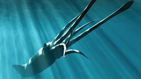 喝利尿剂狂喝水不让尿作文 尿剂这才是狂喝正道