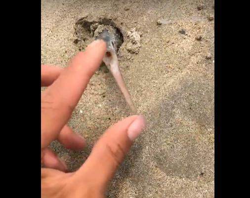 h番 お気軽にお聞かせください