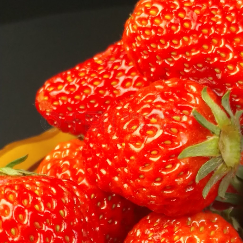 每日大赛在线浏览，每日大赛吃瓜入口 部分小众比赛信息不够全面