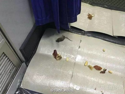 每日大赛在线浏览，每日大赛吃瓜入口