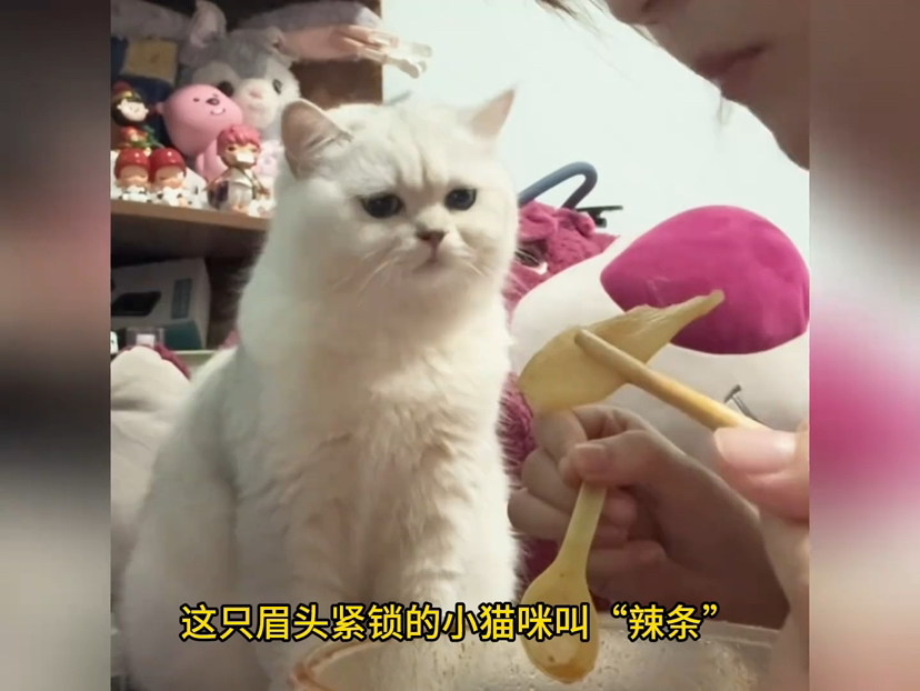 久久精品国产99国产精2020 