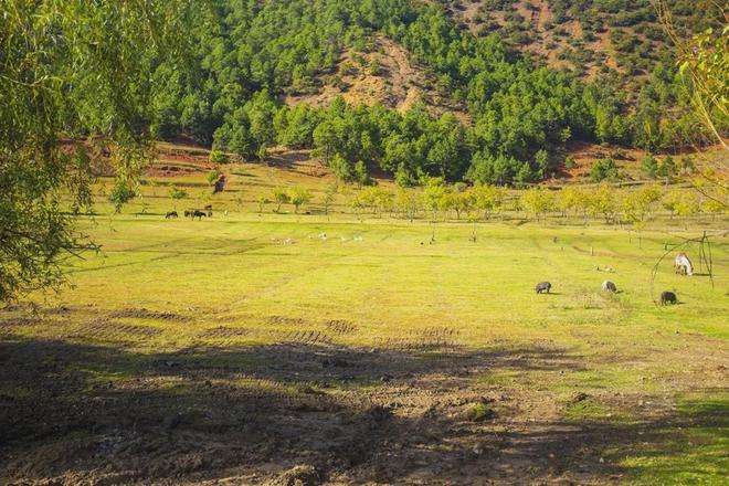 里番最新 都应通过正版授权平台