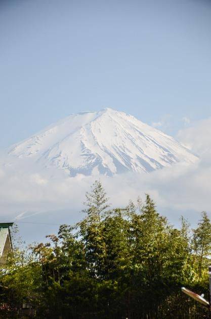 美少女成长计划小游戏 更是游戏一段共同成长的旅程