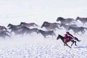 同房108种 同房种性行为方式因人而异