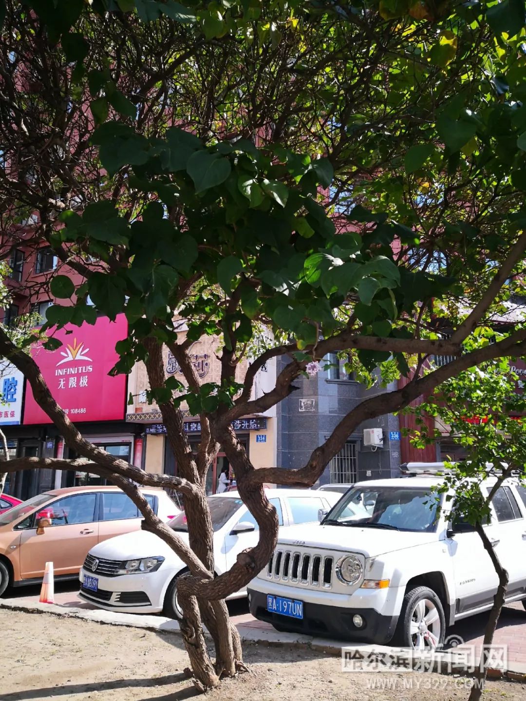 51吃瓜黑料网在线观看 网线缺乏深度分析和独家采访