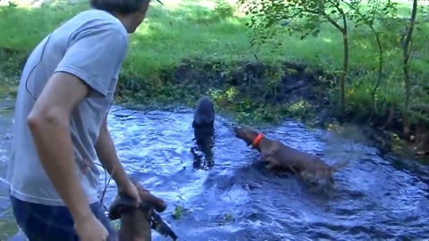 黑料小马拉大车 