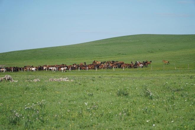 庆余年手机在线播放免费 我非常乐意为你提供帮助