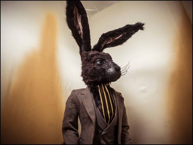 rkk止寸 我还没有学会回答这个问题