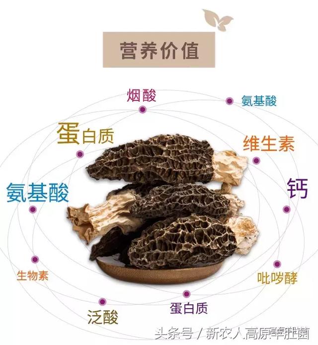 kenny视频 与很多说唱歌手合作