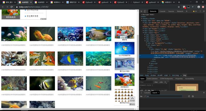 求网站你们懂的 找到靠谱的求网途径