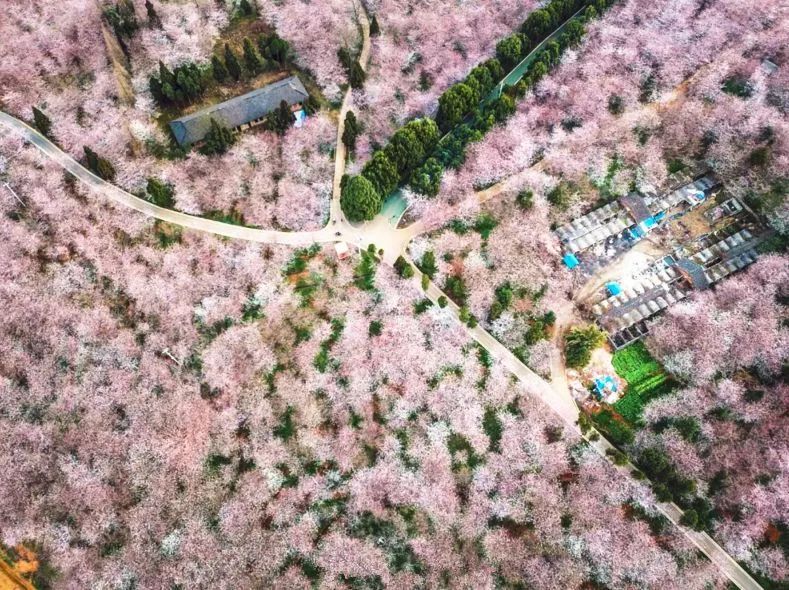 明星黑料 支持关键词订阅和个性化推荐