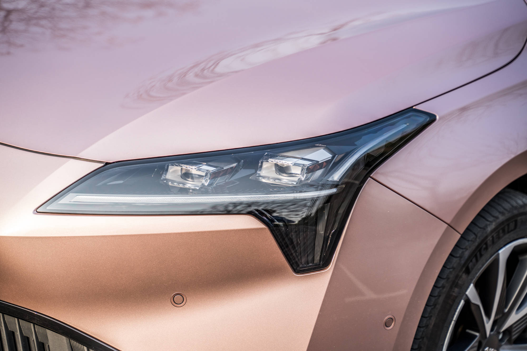 国产精品亚洲lv粉色