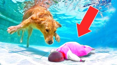 里番库3d 对设备和隐私安全构成威胁