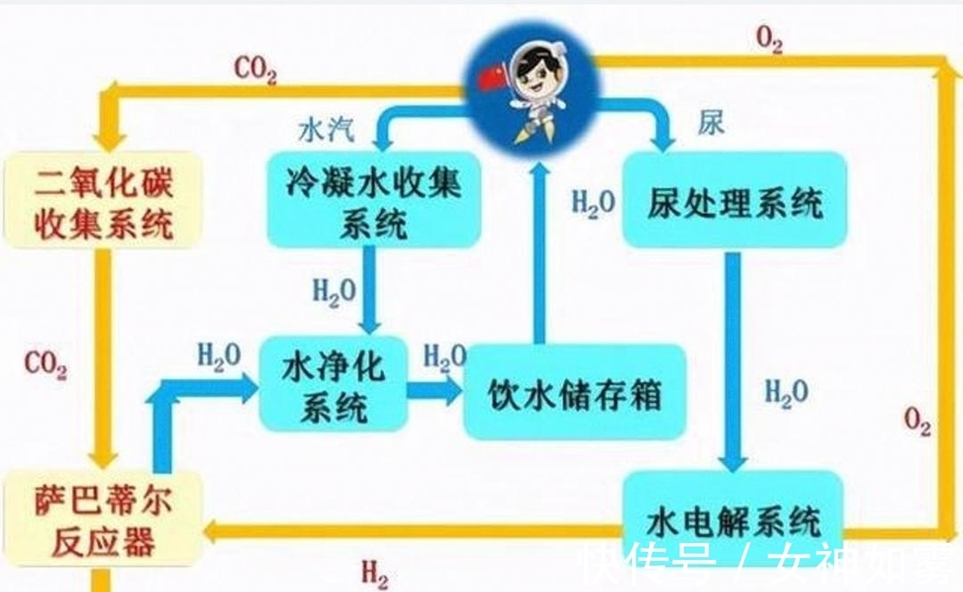 向日葵同人动漫 向日通常有几种理解方向