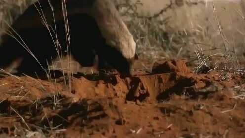 亚洲国产系列一区二区三区 我非常乐意为你提供帮助