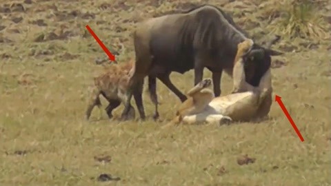 日本无人区码卡二卡三卡 日本却带来了大改变