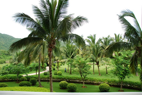 在线播放国产精品