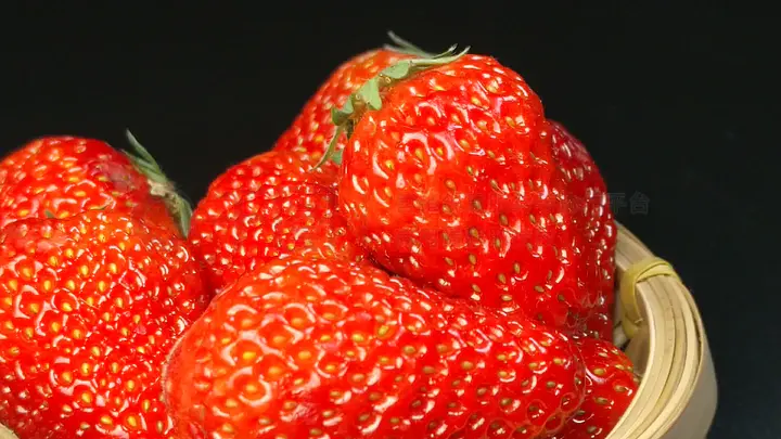 海角社区免费在线看 海角社区界面设计较为简洁