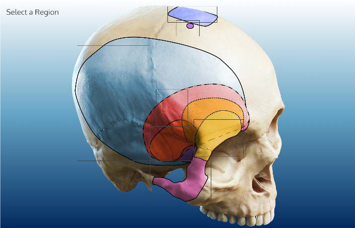 未成年不许学 核心总结与建议无论哪种情况