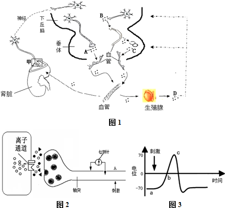 未成年在线看 引导他们识别有害信息