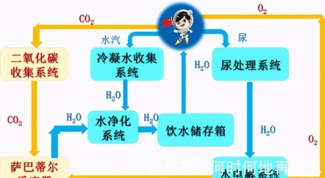 战斗脸秒开 战斗叙事效率：无需多言