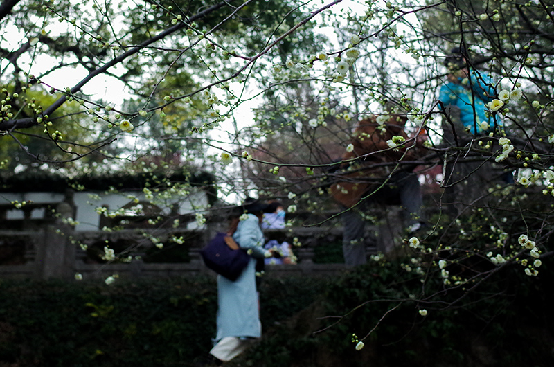 【幼女】 我非常乐意为你提供帮助