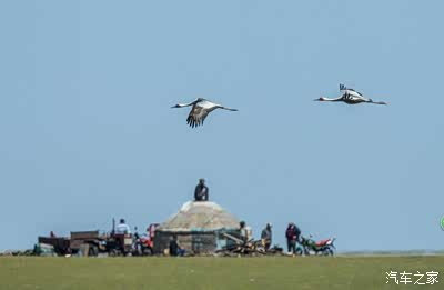 人与蛇视频 人蛇视频观看时请保持理性