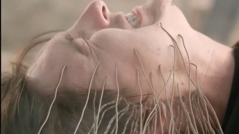 玩偶姐姐是谁 玩偶姐姐Pornhub等平台发布