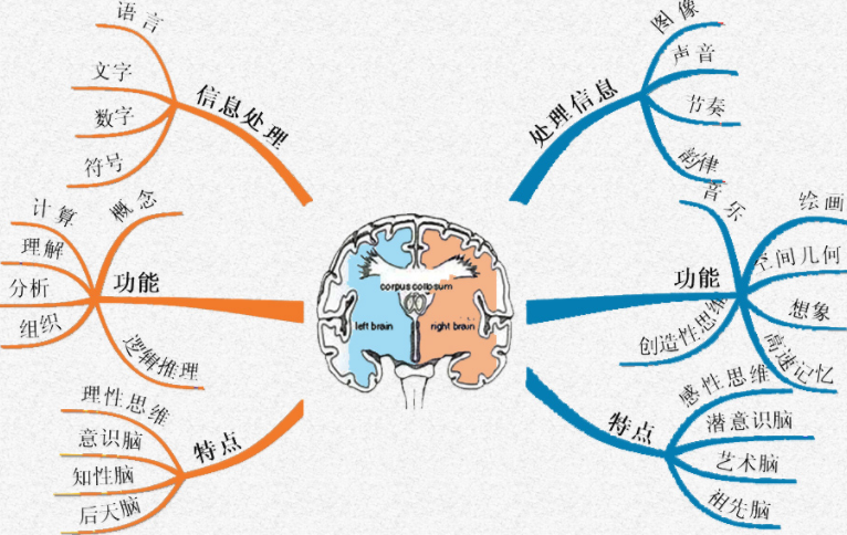 在线播放列表 线播并自动连续播放