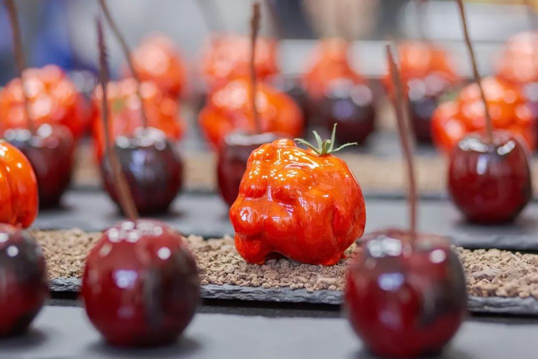 姐专辑 姐专辑探讨审美与自我认同