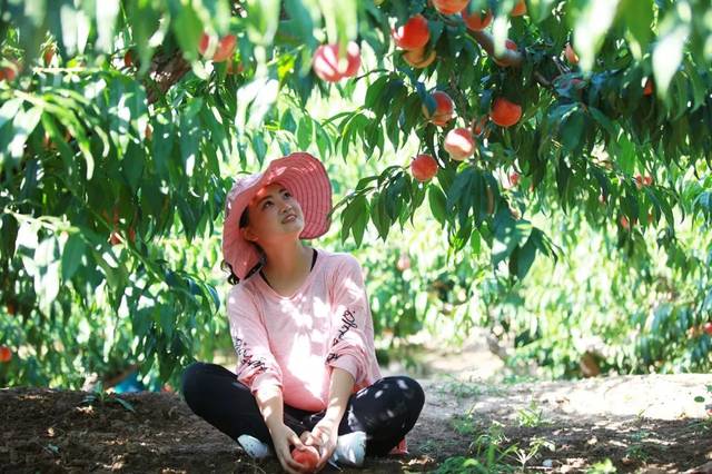 丝袜美腿 丝袜美腿与同价位竞品相比