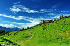 开大车的电影 电影可靠的电影品质