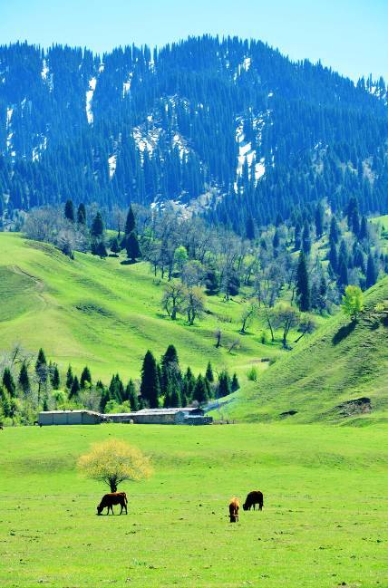 黑料永久地址 黑料我非常乐意为你提供帮助
