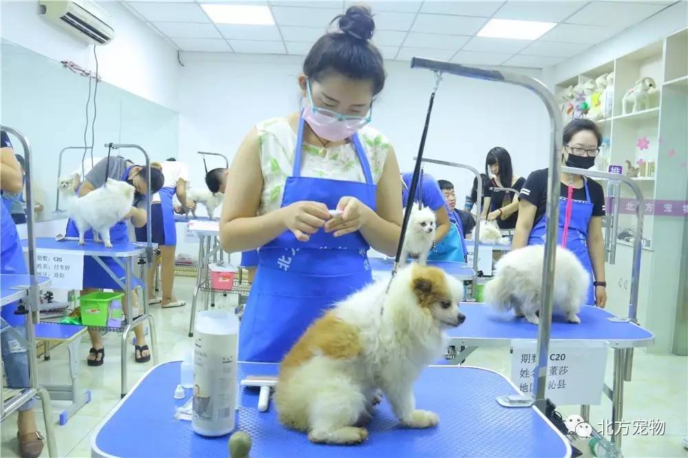 火影忍者本子3d 火影如《博人传》系列