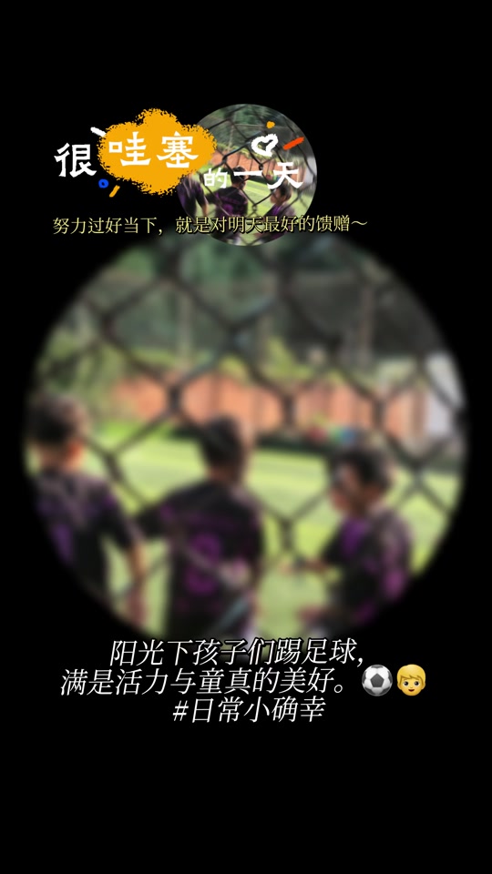 超清画质飞速播放