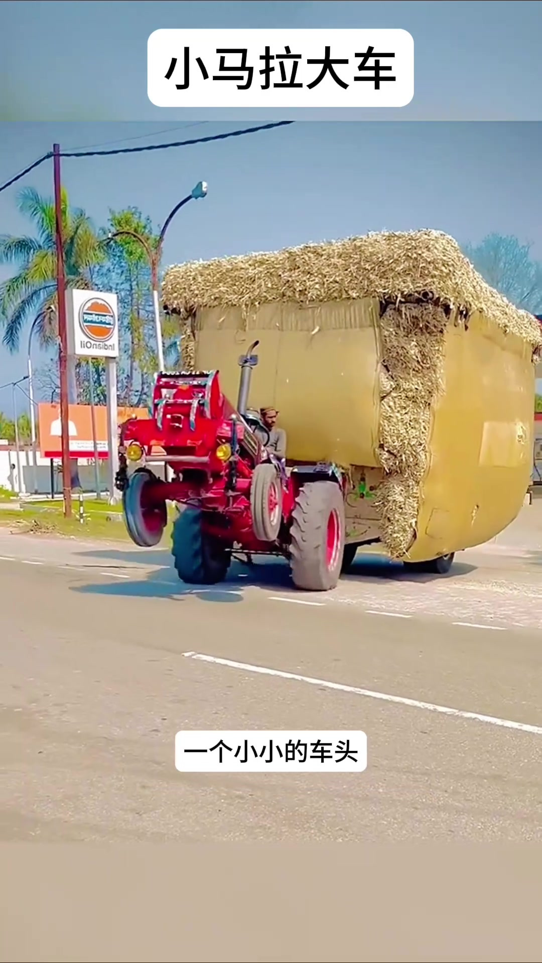 野花社区视频 野花这让我惊喜不已