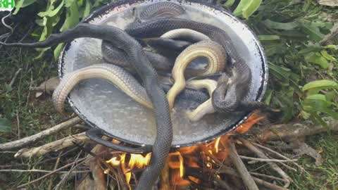 男s 我的角色：作为一个AI助手