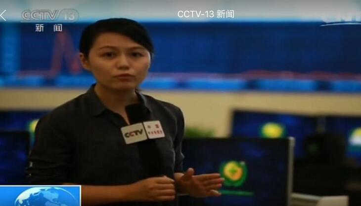 啄木鸟角斗士 技巧而非蛮力取胜的啄木战士