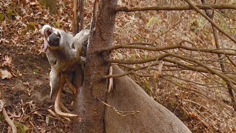 久久er热在这里只有精品2007 