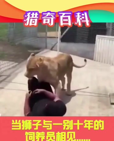 x大视频 大视频如果你有其他问题