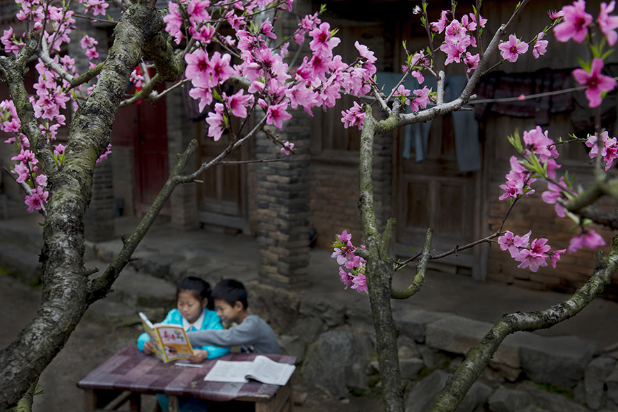 双同动漫 双同动漫如果你有其他问题