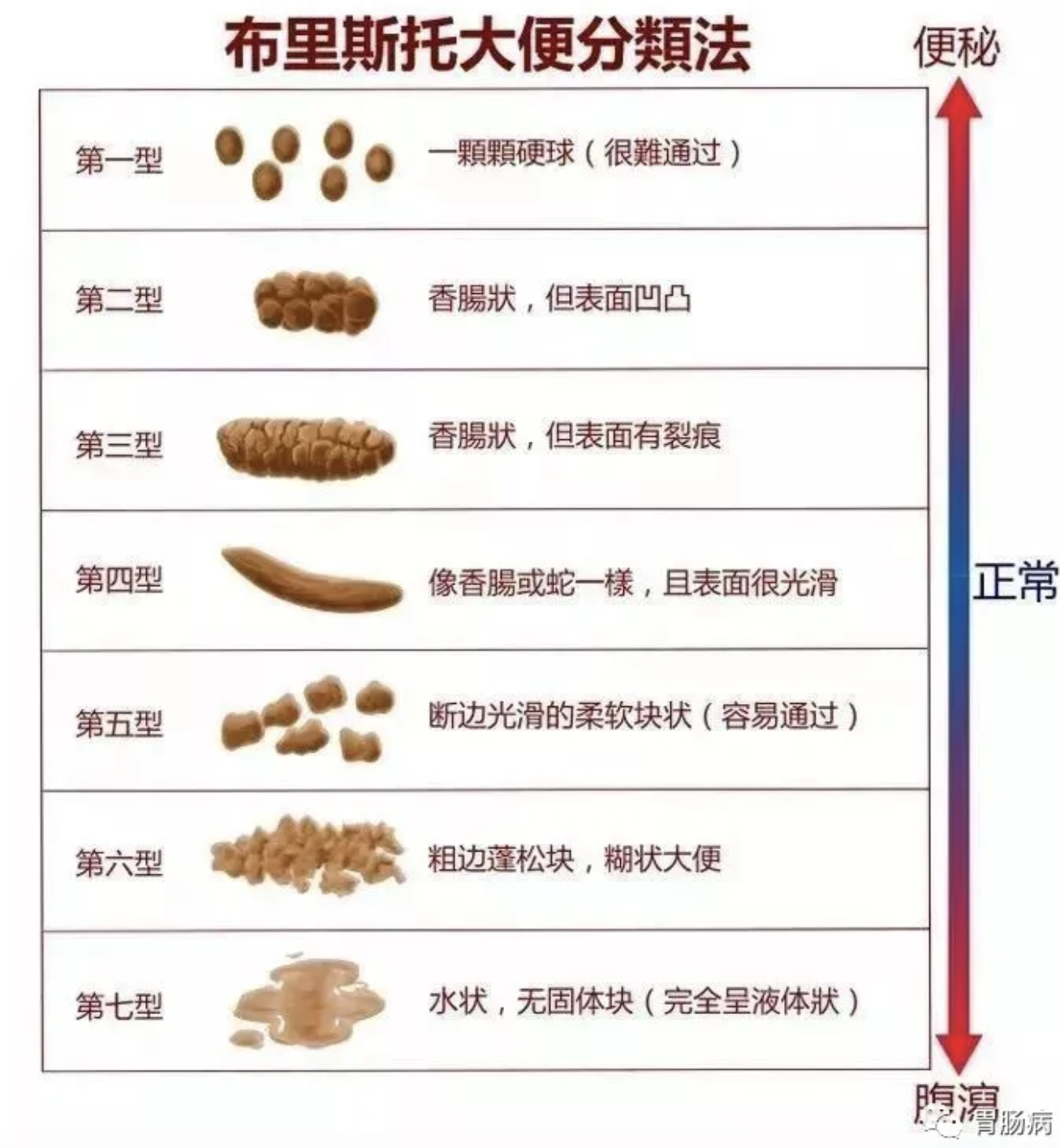 精品人妻一区二区三区视频53