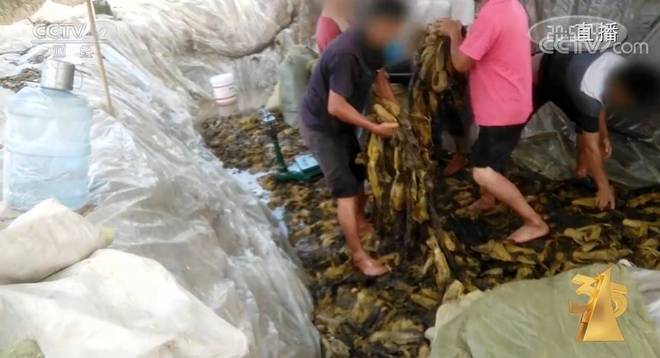 100部未成年禁看 成年角色选择及其后果