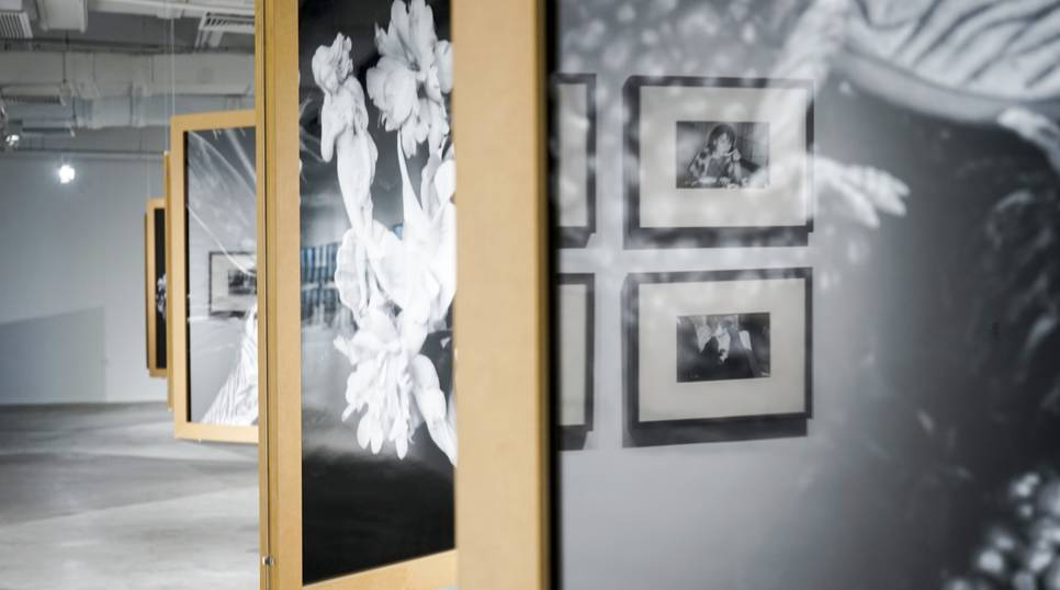 骚在线 我注意到您输入了“骚在线”