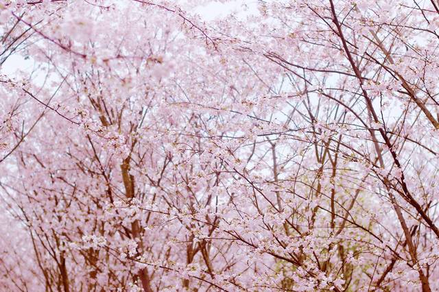 99久久久无码国产精品不卡 无论是产精短小精悍的短视频