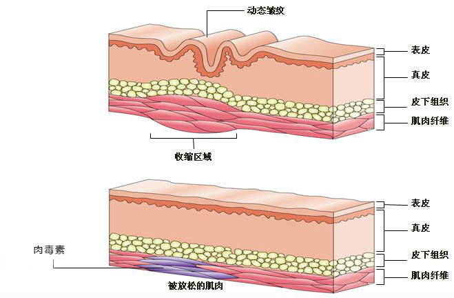 91国语最新自产拍在线观看 也不符合社会公序良俗