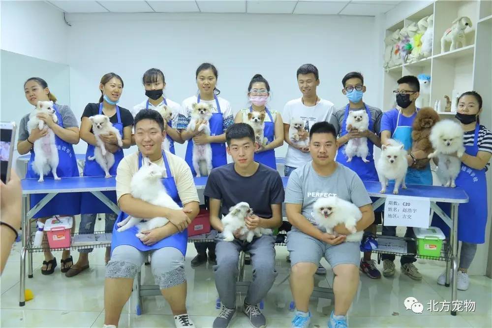 暗网91 暗网用户应遵守当地法律法规