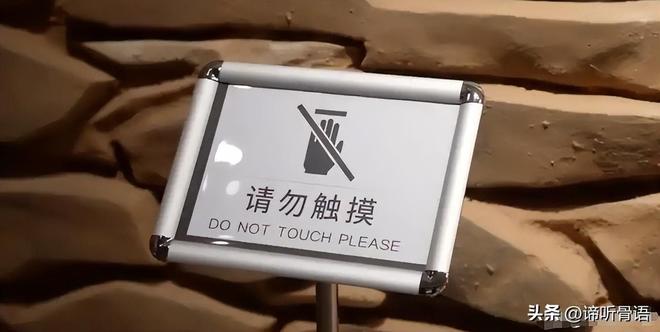 国模亚洲精品无码 