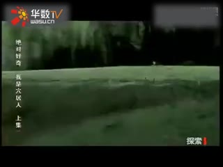 玩偶姐姐合集下载 健康的玩偶娱乐内容感兴趣